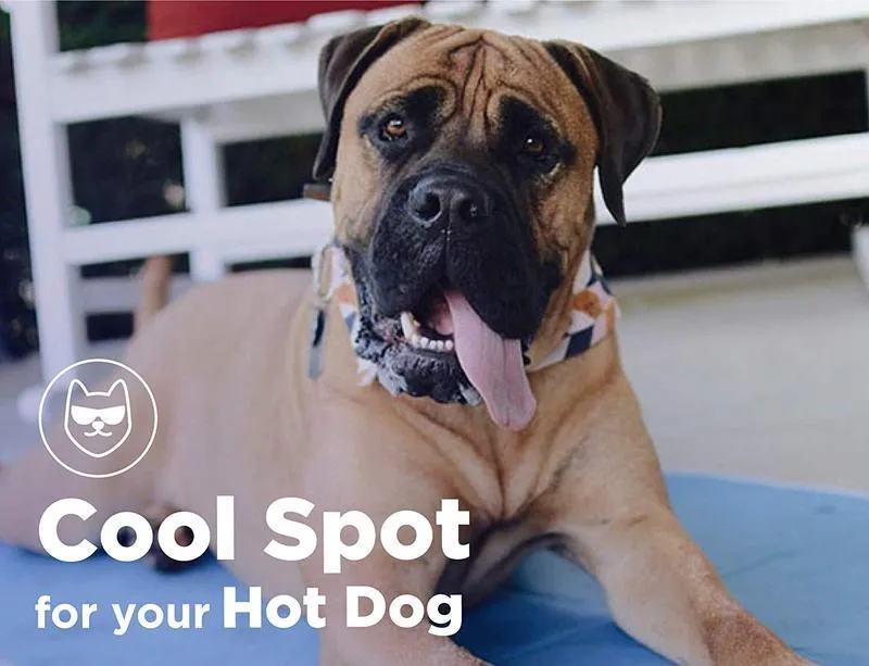 Cooling Pet Pad by The Green Pet Shop