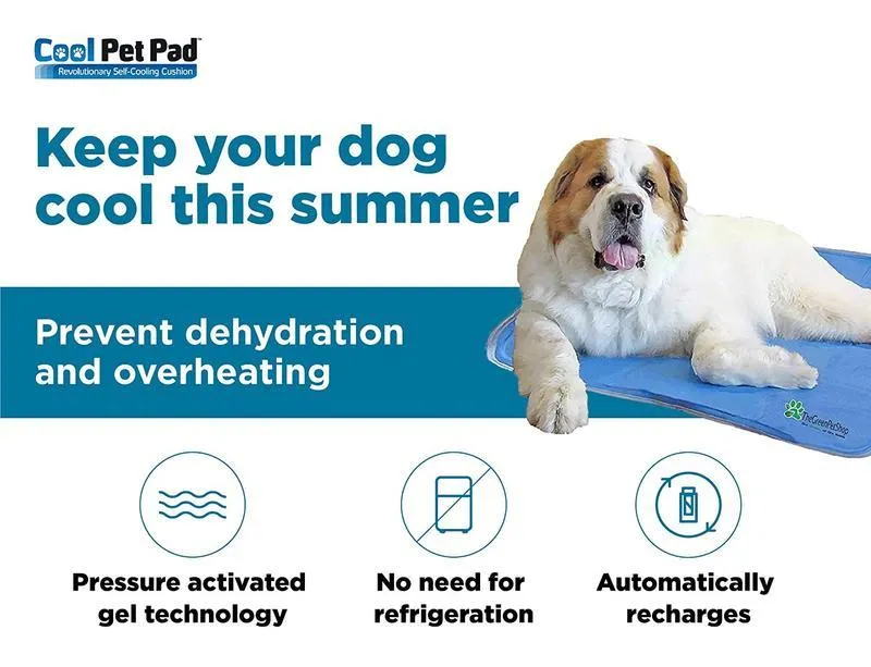 Cooling Pet Pad by The Green Pet Shop