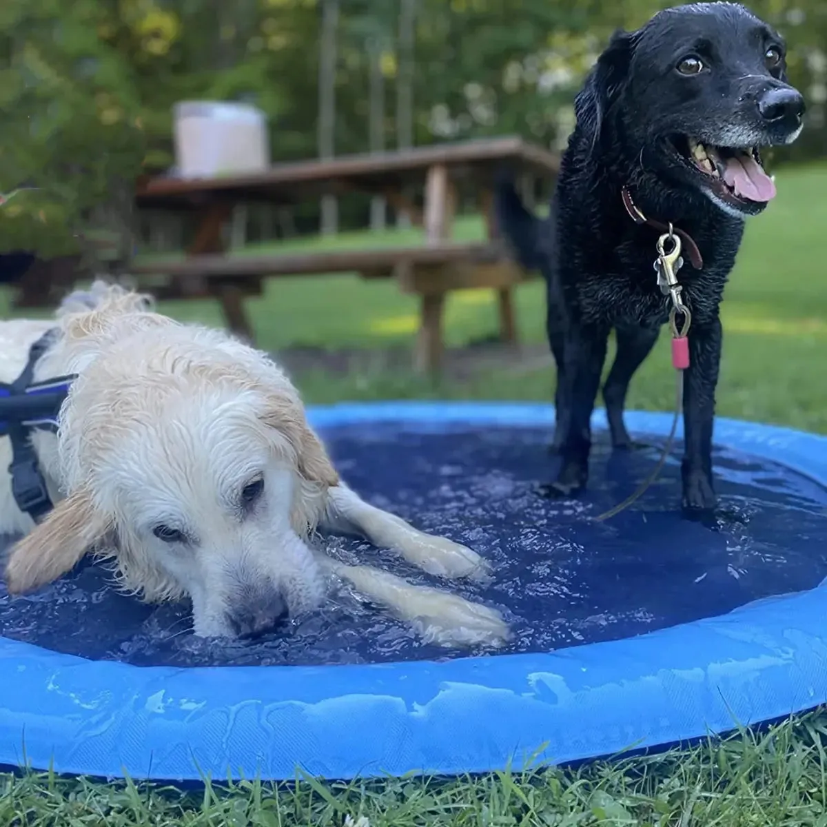 Pet Water Play Pad